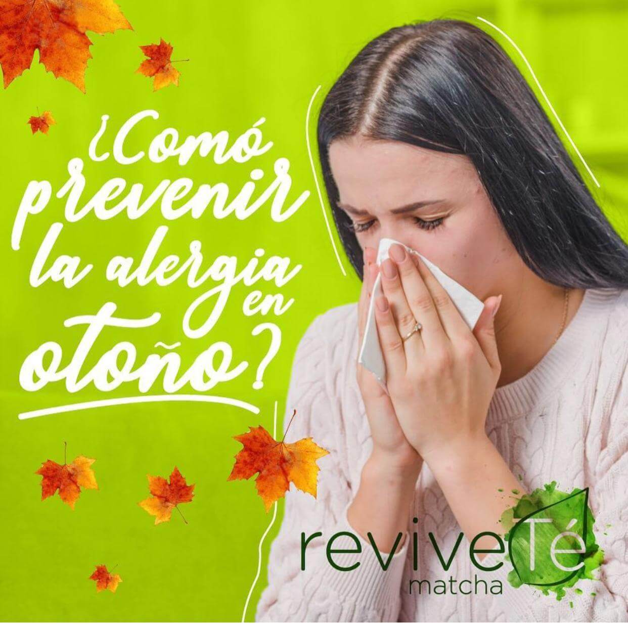 Matcha para evitar alergias