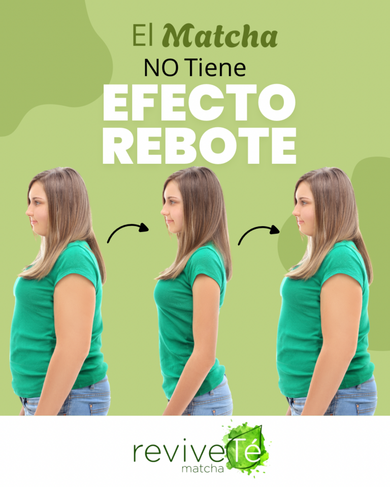El Matcha para Adelgazar NO produce efecto rebote